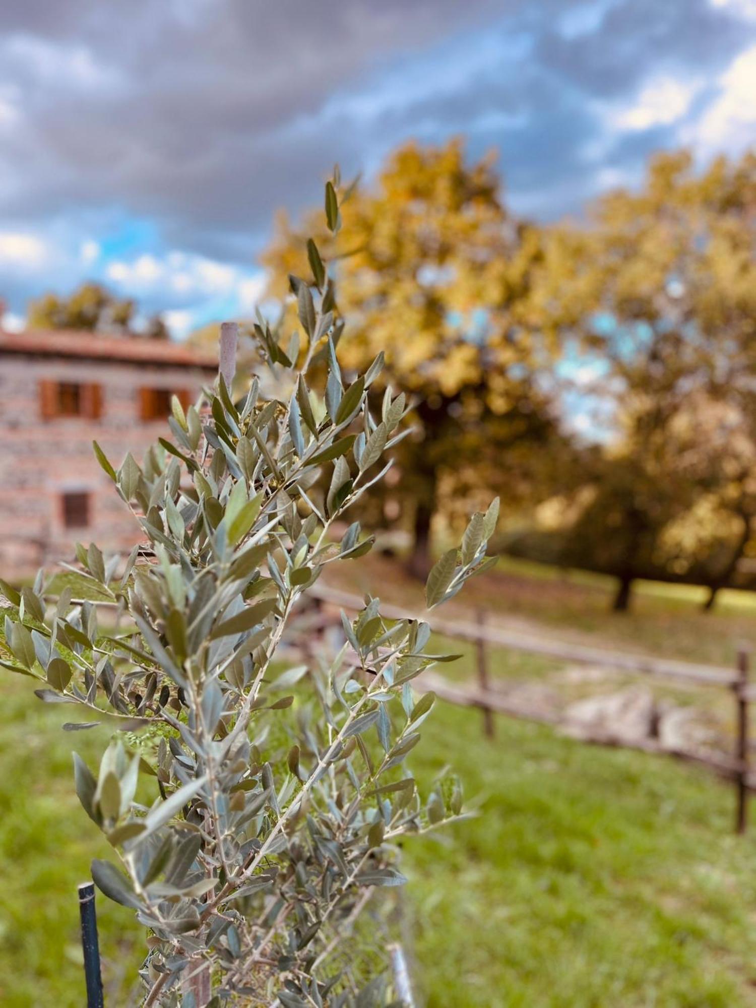 Casetta Di Ugolino Радикофани Экстерьер фото